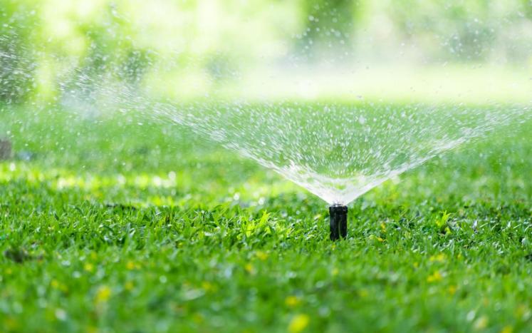 Watering restrictions in effect Memorial Day through Labor Day. 