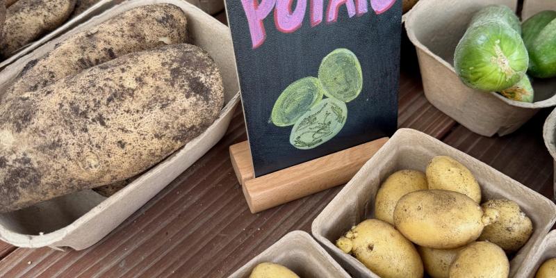 Potatoes Potatoes
